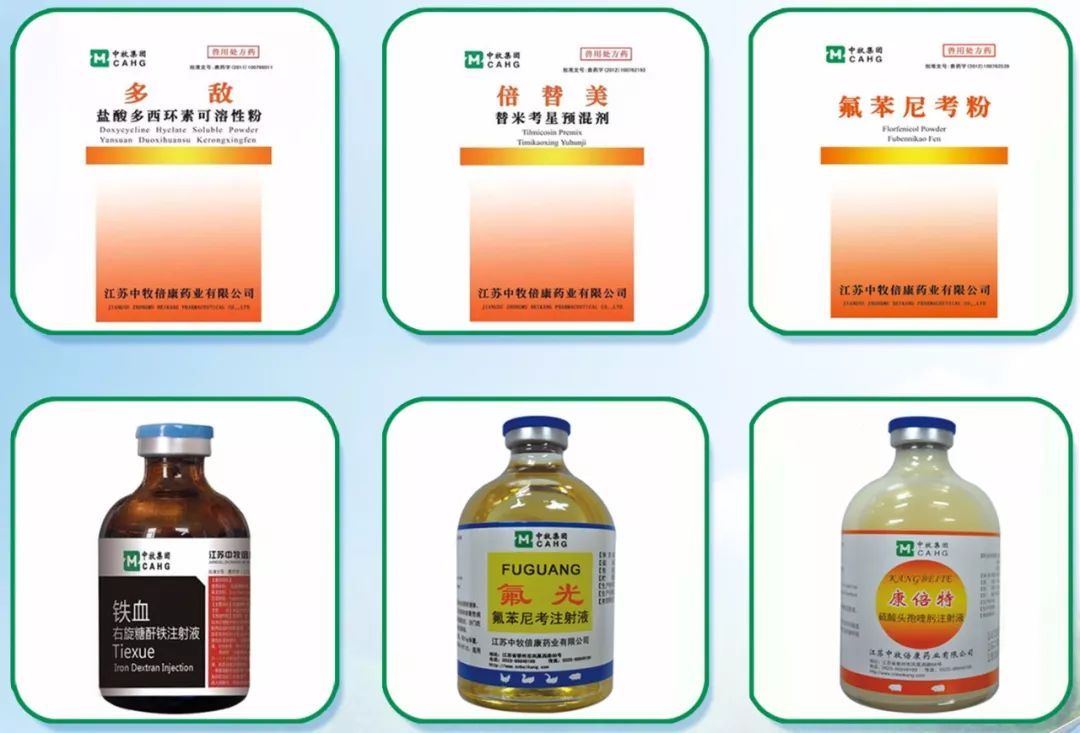 系统破解企业创新瓶颈 全面激发市场主体活力 湖北发布十六条措